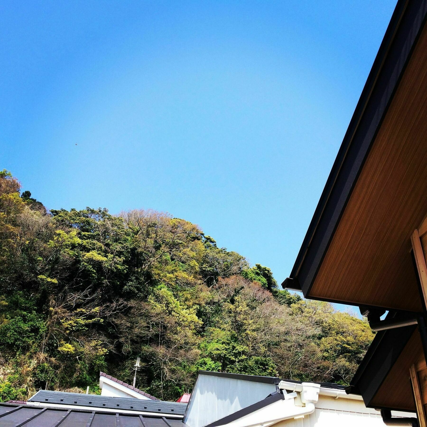 Guest House Kamakura Zen-Ji Exterior foto